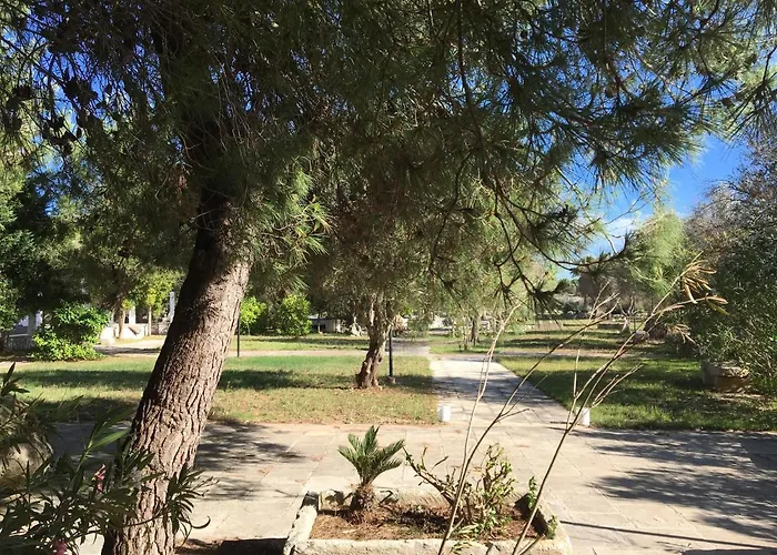 Tenuta L'alba Di Monte Matino