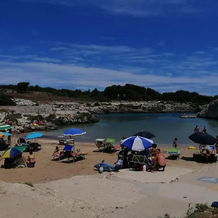 Tenuta L'alba Di Monte Matino 农家乐 *