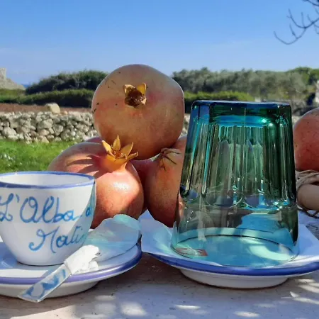 בית חווה Tenuta L'alba Di Monte Matino