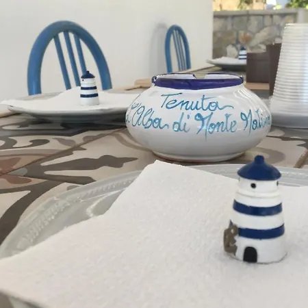 Tenuta L'alba Di Monte Matino 农家乐 *