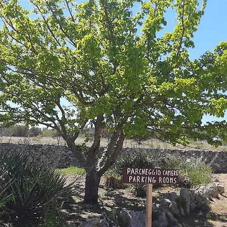 Tenuta L'alba Di Monte Matino 农家乐 *