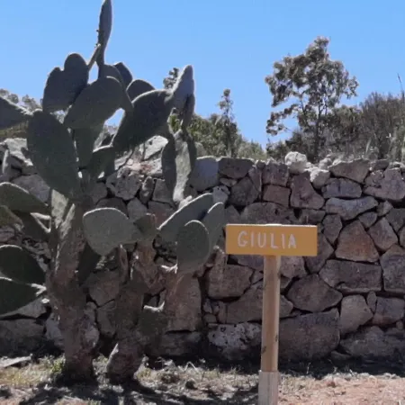 Çiftlik konaklama Tenuta L'alba Di Monte Matino