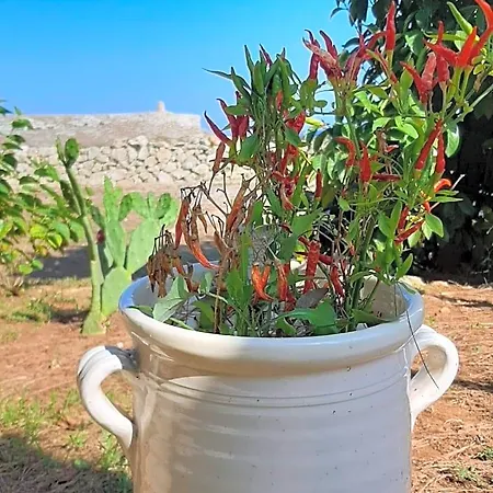 Farm stay Tenuta L'alba Di Monte Matino Otranto
