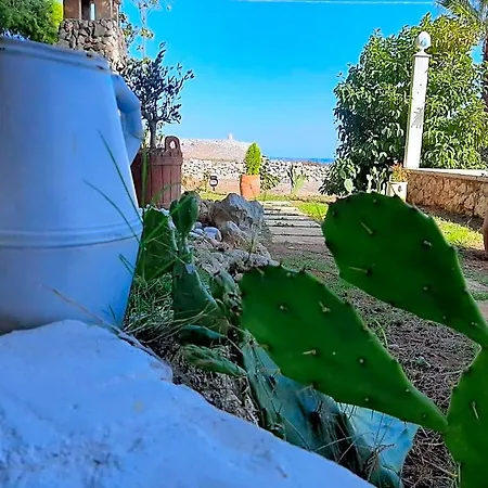 Tenuta L'alba Di Monte Matino