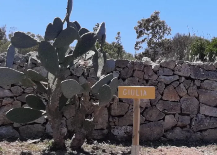 Çiftlik konaklama Tenuta L'alba Di Monte Matino